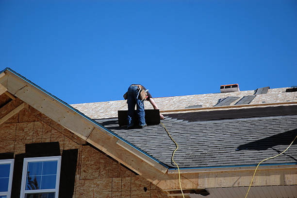 Best Flat Roof Repair Services  in Algonquin, IL