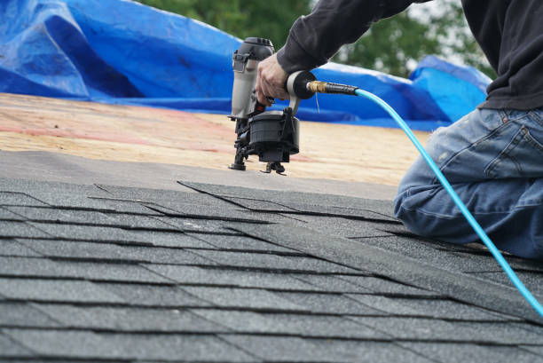 Roof Gutter Cleaning in Algonquin, IL