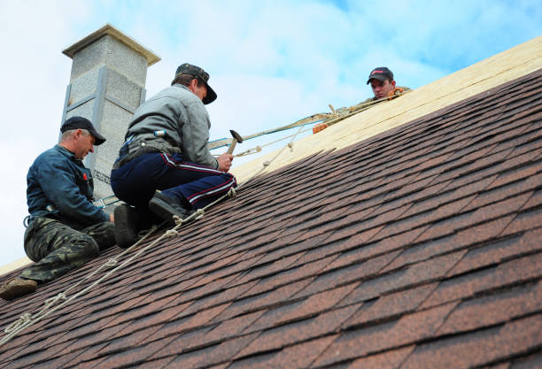 Best Roof Gutter Cleaning  in Algonquin, IL